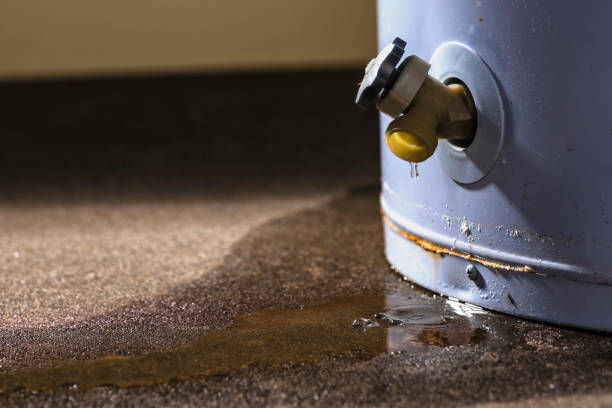 Best Basement water damage restoration  in Belwood, NC