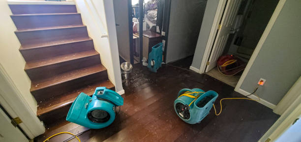 Best 24/7 water damage repair  in Belwood, NC