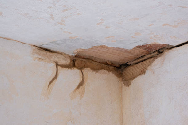 Best 24-hour water damage restoration  in Belwood, NC