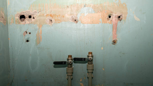 Best Commercial water damage restoration  in Belwood, NC