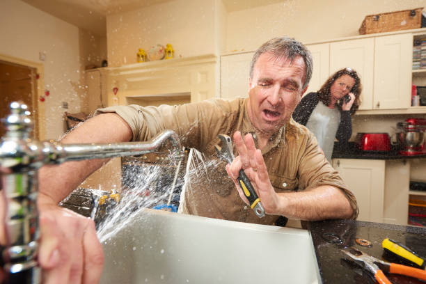 Best Mold removal after water damage  in Belwood, NC
